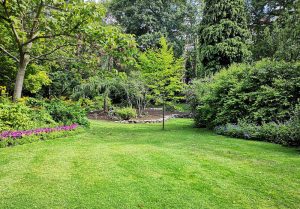 Optimiser l'expérience du jardin à Champignol-lez-Mondeville